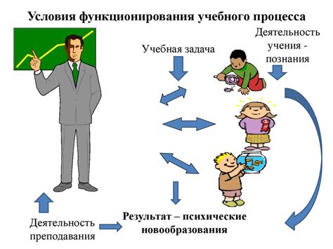 Процесс обучения и практики