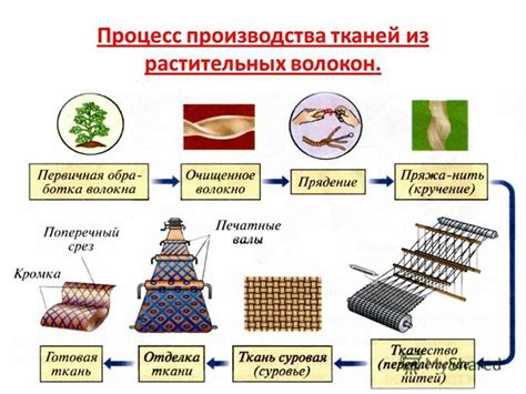 Процесс производства тканей из растительного происхождения