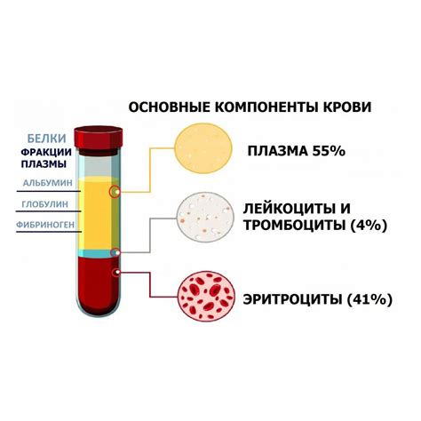 Процесс сдачи крови и плазмы крови: сравнение безопасности и удобства