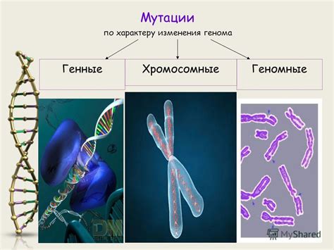 Проявление генетической мутации: