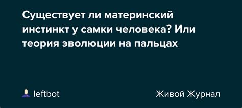 Проявление инстинкта матери в символике сновидений