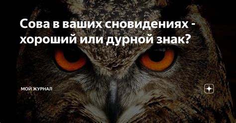 Проявление усопшей овчарки в сновидениях: предостережение или символ изменений?