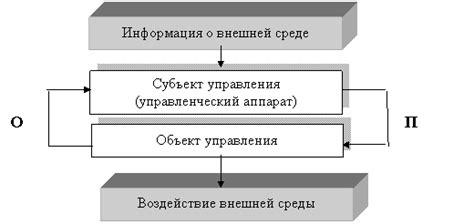 Прямая связь управления и обратная: отличия