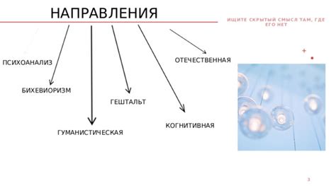 Психоанализ и скрытый смысл в сновидениях о очищении в душе