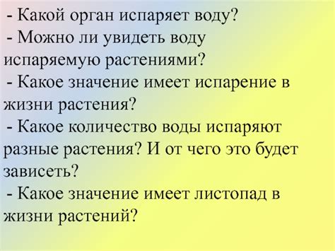 Психологическая интерпретация: какое значение может иметь сновидение о игре в кэромболь для представительниц прекрасного пола