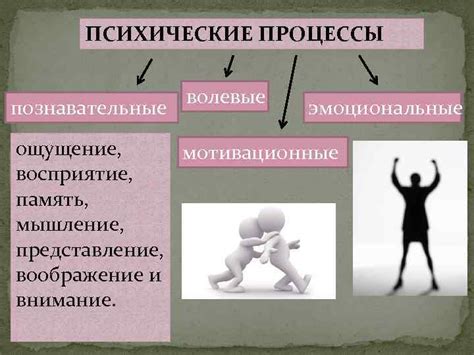 Психологические и эмоциональные факторы, влияющие на сновидения