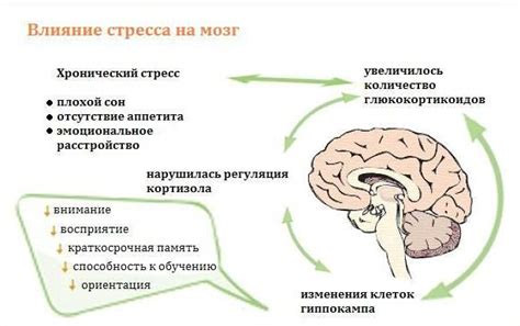 Психологические причины сновидений о ругательствах