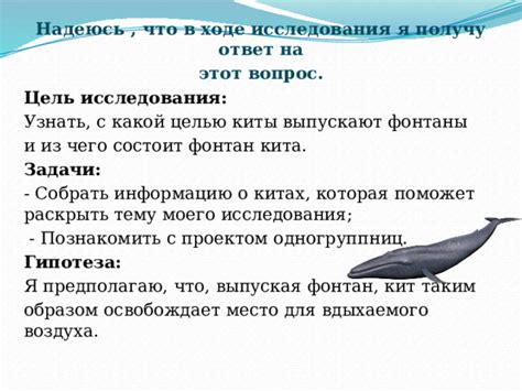 Психологический анализ впечатлений о китах в динамичной обстановке