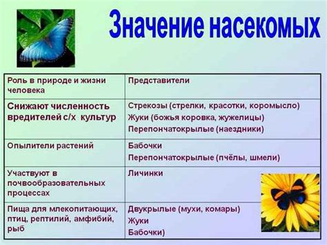 Психологический анализ снов о насекомых и их значимость