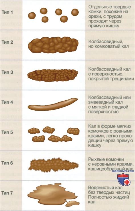 Психологическое значение: рвота червями как проявление внутренних противоречий