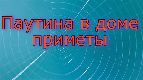 Психологическое исследование сновидений о паутине и пауке