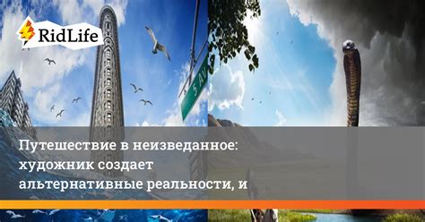 Путешествие в альтернативные реальности: милый павушка приют измерений и его сущностное значение