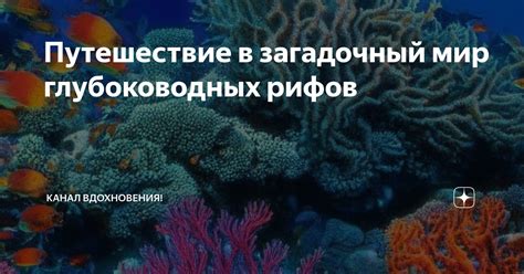 Путешествие в загадочный мир Черного моря