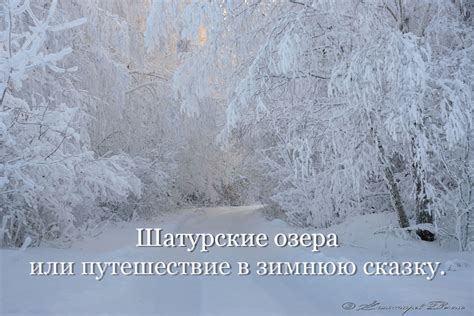 Путешествие в зимнюю сказку: как правильно истолковывать сны о морозных пейзажах