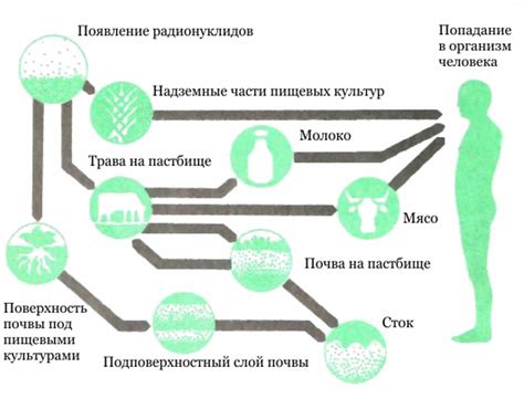 Пути попадания проникающей радиации