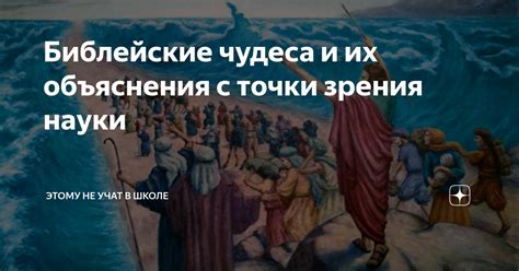 Пятница - время для взаимодействия с загробным миром: объяснения науки и мистические точки зрения