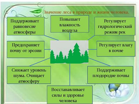 Равновесие природы и человека в грезах Шекспира