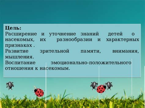 Разбор сновидений о насекомых, заселяющих человеческую сферу мышления