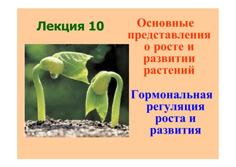 Развитие личности через сновидения о росте и развитии дерева