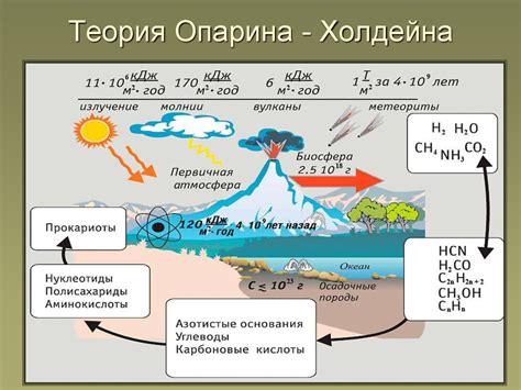 Развитие первичных форм жизни