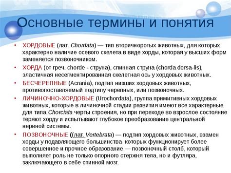 Развитие понятия "хордовые"