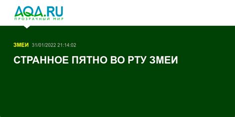 Разгадка визии: Странное присутствие во рту