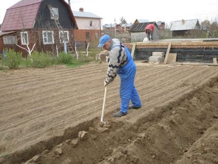 Разгадываем значение символического действия - копания земли в огороде с помощью лопаты женщиной