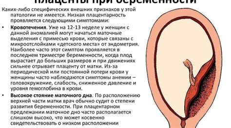 Раздел: Проблемы, связанные с натуральными процессами женского организма