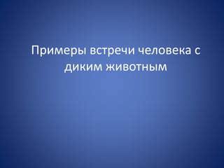 Раздел: Смысл встречи с диким котом в сновидении