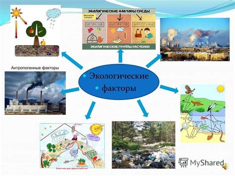 Раздел 4: Температура окружающей среды