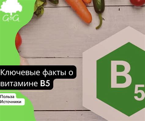 Раздел 5: Провитамин A и цинк: эффективное сочетание для увеличения усвоения