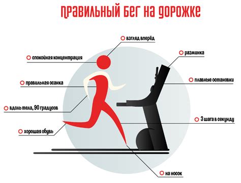 Раздел 9: Рекомендации по тренировкам для преодоления 10 тысяч шагов на беговой дорожке