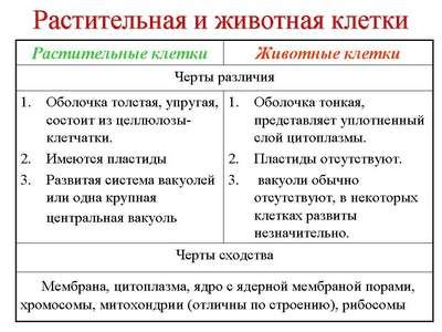 Различия вместительности