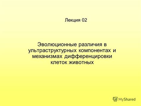 Различия в конструкции и компонентах