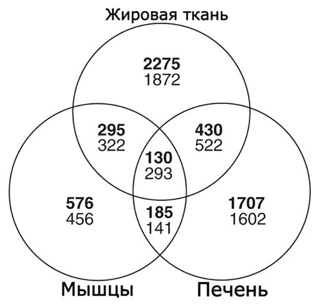 Различия в поведении змей во время спячки и бодрствования