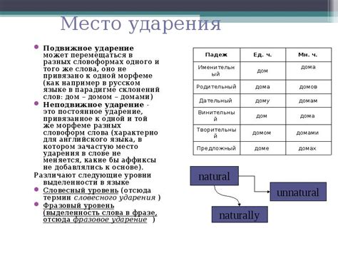 Различия в ударении в разных словоформах