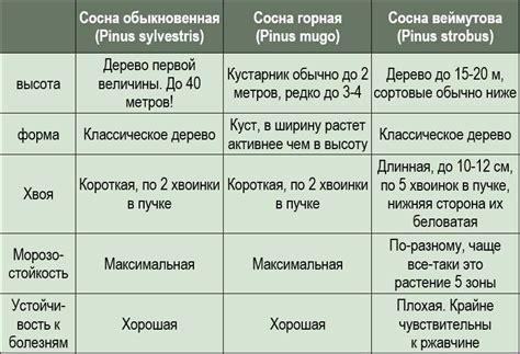 Различия между высшим и первым сортом могут быть существенными