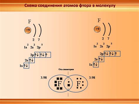 Различия между калием и кальцием