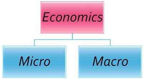 Различия между микроэкономикой и макроэкономикой