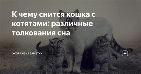 Различные контексты толкования сна о маленьком котенке