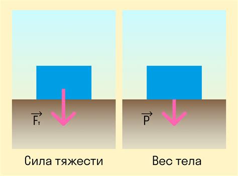 Размеры и сила