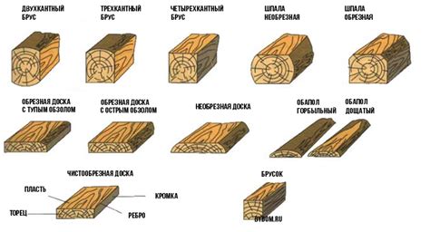 Размеры и форма дерева