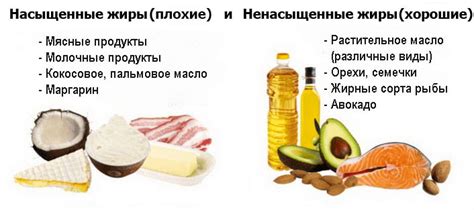 Разница между насыщенными и ненасыщенными жирами