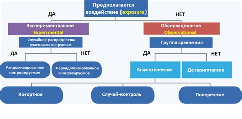 Разновидности и виды "Энд" в медицине