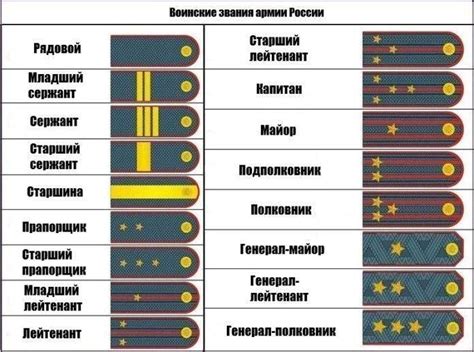 Разновидности погон