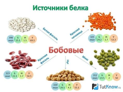 Разнообразие бобовых продуктов в биго лайф