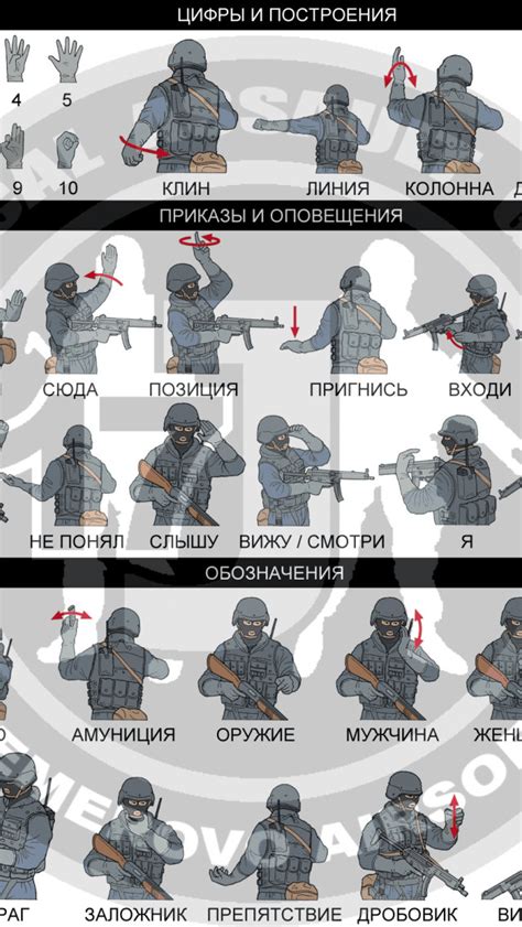 Разнообразие сновидений с участием спецназа: их расшифровка и значение