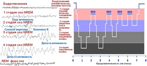 Разнообразные версии сна и их интерпретация