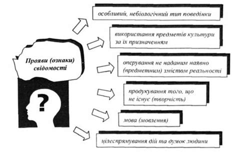 Разъяснение парадокса онтологического статуса