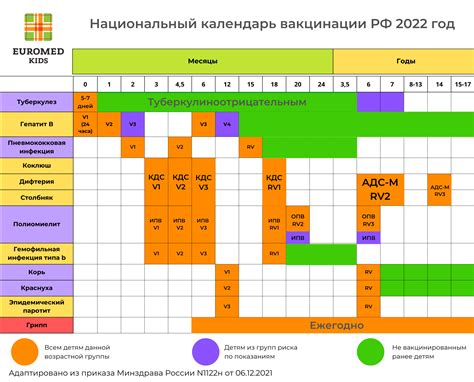 Расписание прививок для котенка